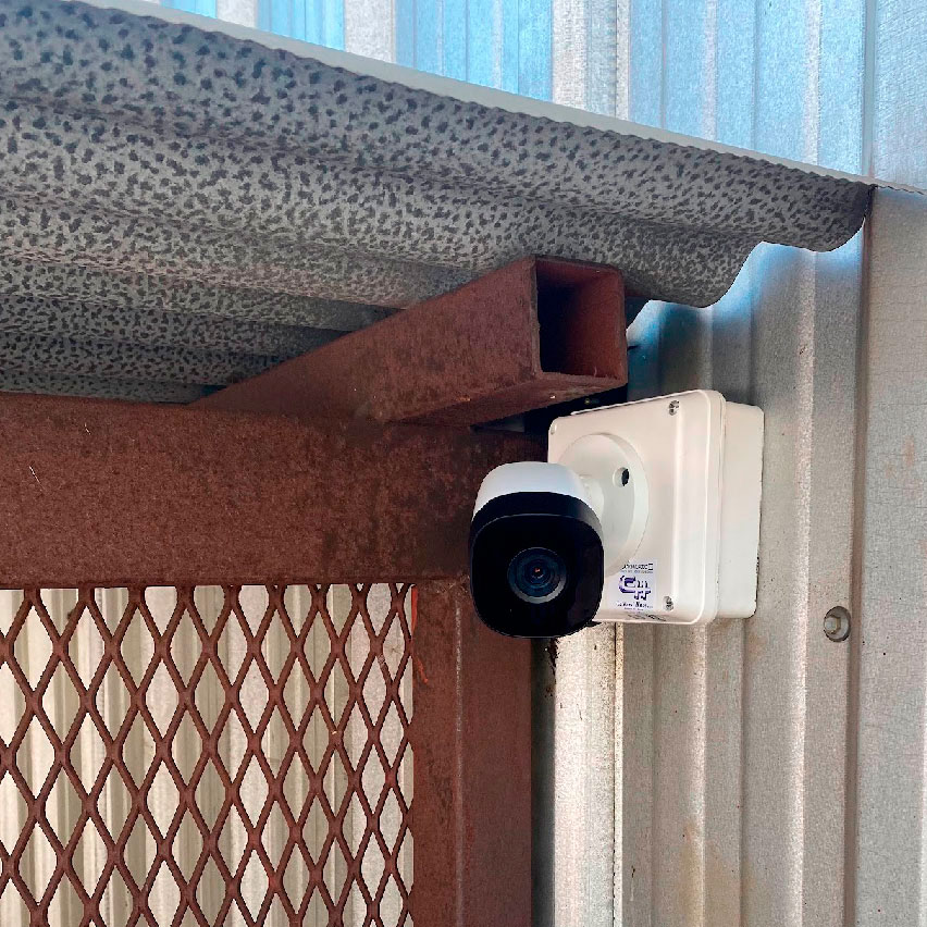 camara6